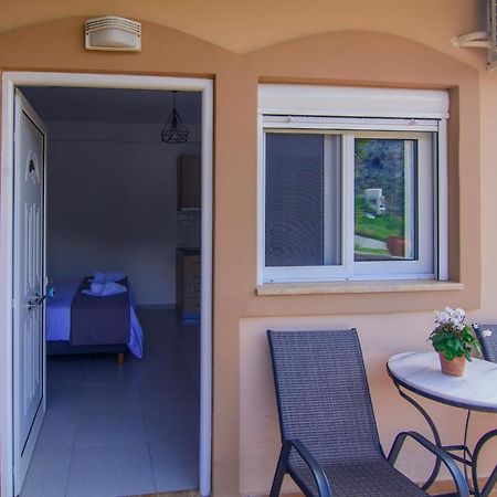 Irene Studio Panorama Apartment Palaiochora Ngoại thất bức ảnh